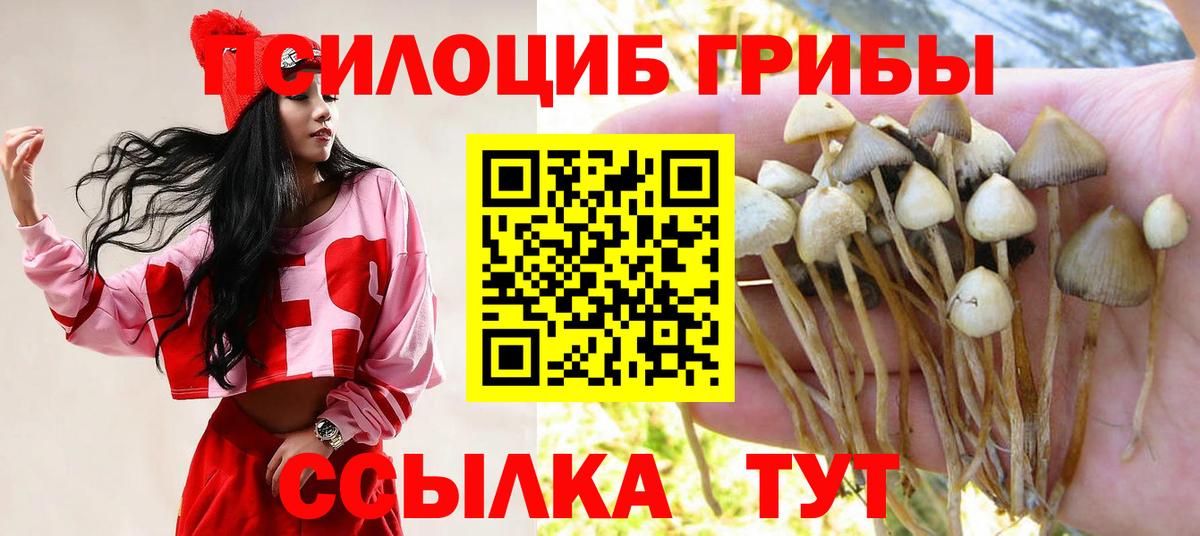Alpha PVP Киселёвск