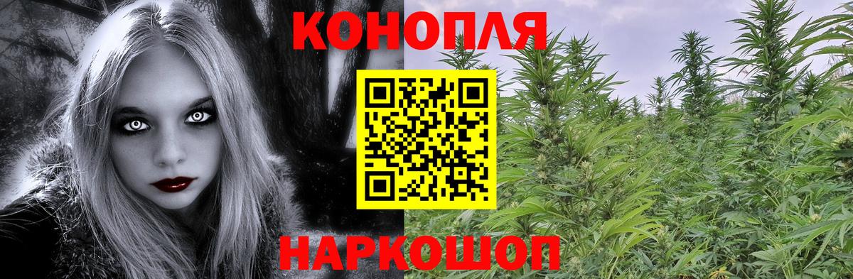 Шишки марихуана Bruce Banner  Вход с VPN  Киселёвск  Марихуана марихуана  Бошки Шишки SATIVA & INDICA 